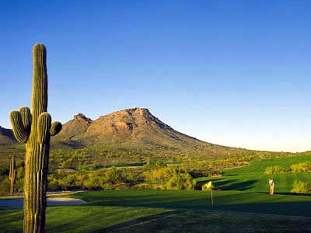 Private Resort Community -- ½ Mile Walk To Hiking & Biking At N. Mtn. Preserve! Phoenix Extérieur photo